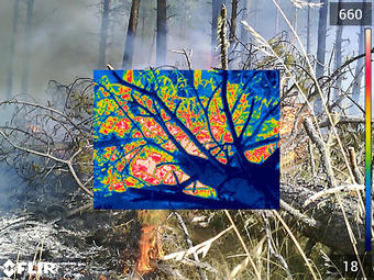 The USGS Rolls out a new five year wildland fire science strategy to address increasingly devastating fires