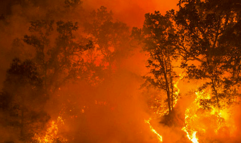 Wildfire Outlook: March 2021 – June 2021