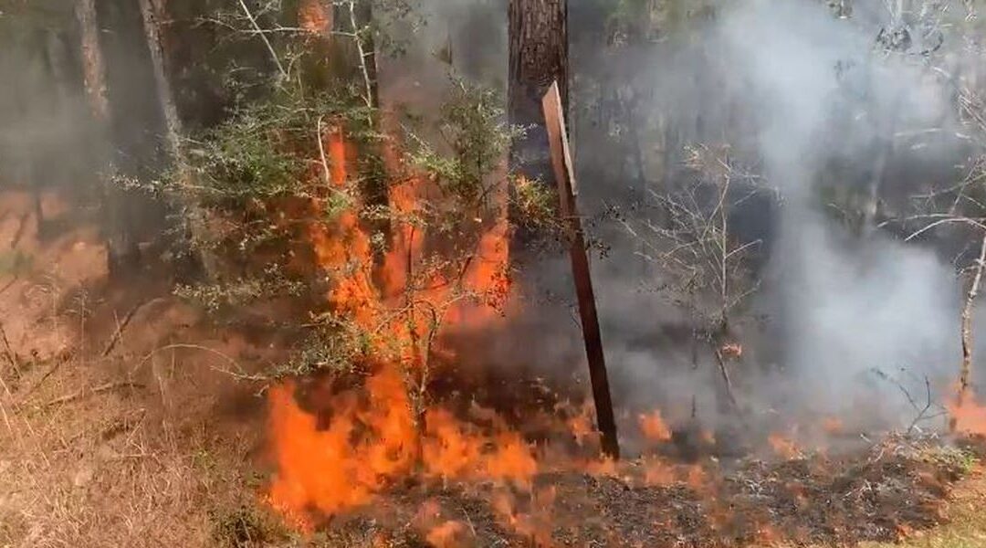 Arizona’s 2021 wildfire season expected to have ‘very severe potential’