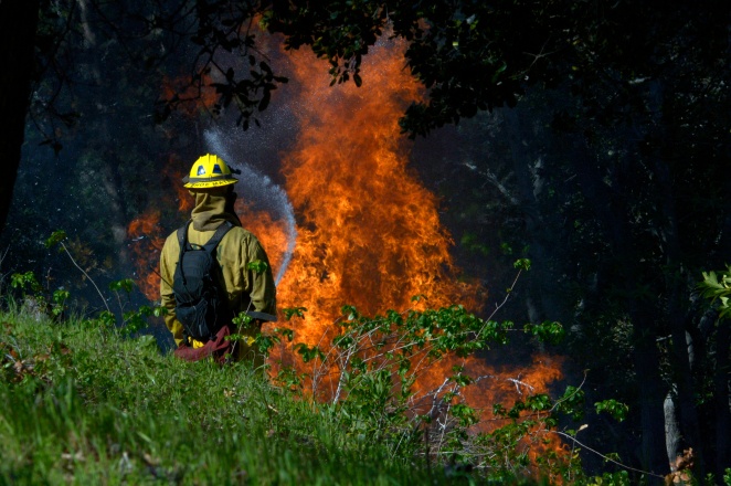 Marin Voice: Insurance officials embrace strategies to protect against wildfires