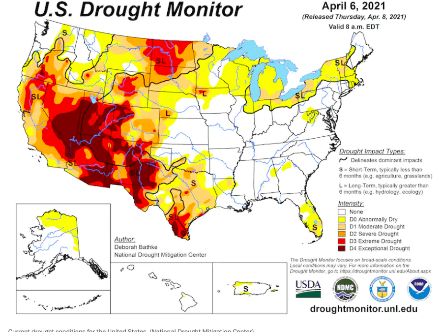 Drought-plagued California and the western U.S. may see another devastating wildfire season