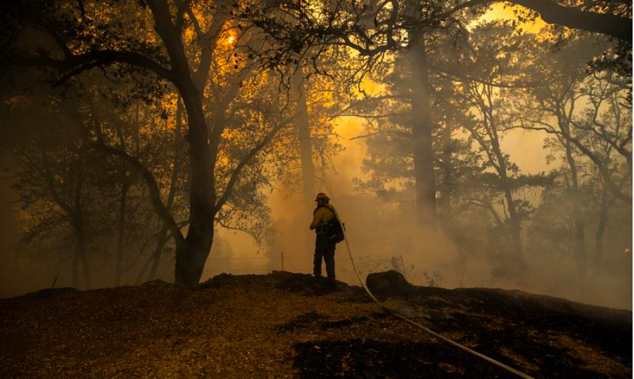Private firefighters fuel tensions while saving California vineyards and mansions