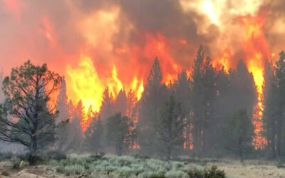 Bootleg Fire in Oregon Scorches 150,000 Acres as Heat Wave Continues in the West