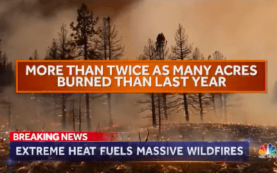 California wildfire grows by 20,000 acres, destroys 20 homes