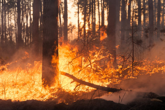 Viewpoint: Is California Serious About Addressing the Wildfire Risk? Not So Much.