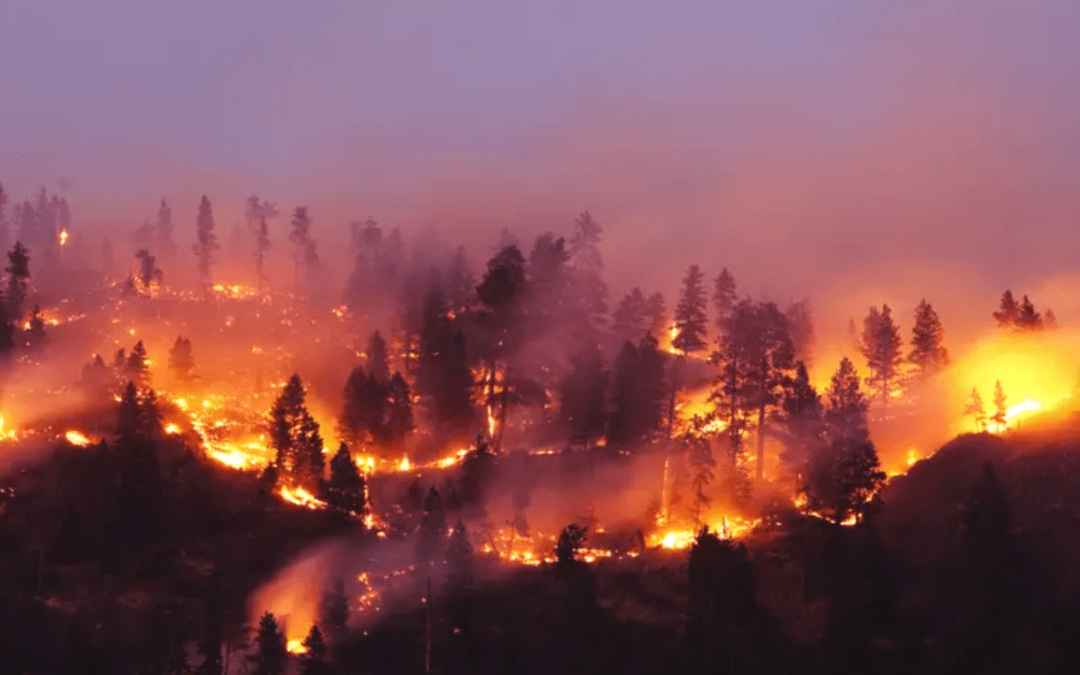 U.S. wildfire statistics